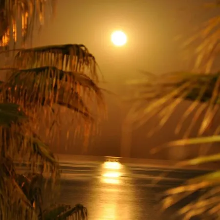 Private Beach Villa For 6 With Seaview, Pool & Big Sun Terrace *